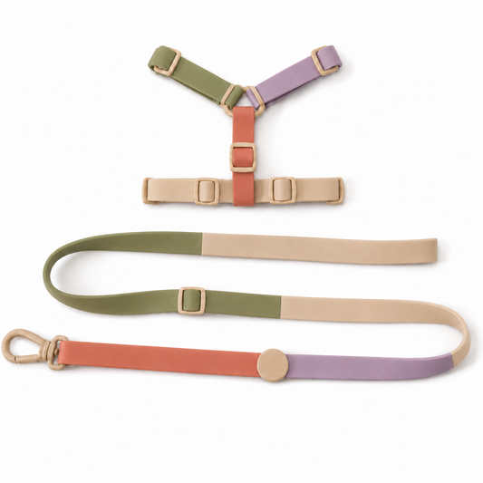 Adjustable Dog Harness and Lead Set – Soft Walking Harness with Matching Lead for Medium and Large Dogs